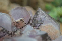 Natural Jacaranda Amethyst Cluster x 1 From Mumbwa, Zambia - TopRock