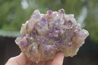 Polished Conglomerate Amethyst Clusters (Man Made) x 6 From Chiredzi, Zimbabwe - TopRock