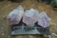 Natural Single Zambian Jacaranda Amethyst Points - Sold per 1.6 kg (24 points per tray) - From Mumbwa, Zambia - TopRock