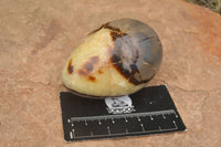 Polished Septaria Dragon's Eggs (Calcite & Aragonite) x 3 From Mahajanga, Madagascar - TopRock