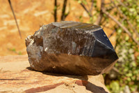 Natural Smokey Quartz Crystal With Polished Termination x 1 From Zomba, Malawi - TopRock