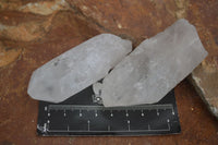 Natural Single Clear Quartz Crystals  x 12 From Mpika, Zambia - Toprock Gemstones and Minerals 