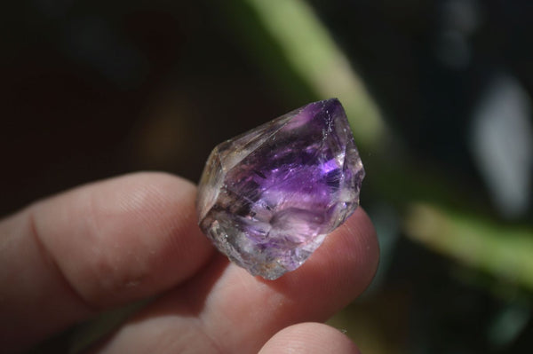 Natural Single Smokey Amethyst Crystals  x 35 From Chiredzi, Zimbabwe - Toprock Gemstones and Minerals 