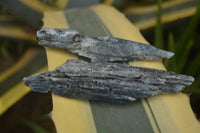 Natural Medium Sized Blue Kyanite with Black Mica Crystals x Sold per 1 Kg -  From Karoi, Zimbabwe - TopRock