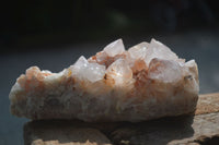 Natural White Cactus Spirit Quartz Clusters  x 12 From Boekenhouthoek, South Africa - Toprock Gemstones and Minerals 