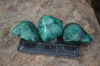 Polished Flower Malachite Free Forms  x 12 From Congo