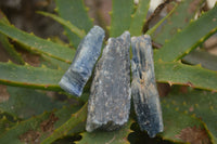 Natural Medium Sized Blue Kyanite with Black Mica Crystals x Sold per 1 Kg -  From Karoi, Zimbabwe - TopRock