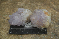 Natural Spirit Amethyst Quartz Clusters  x 12 From Boekenhouthoek, South Africa - Toprock Gemstones and Minerals 