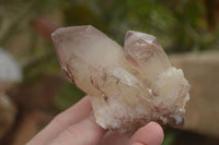 Natural Red Hematoid Quartz Specimens x 12 From Karoi, Zimbabwe - TopRock