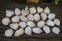 Natural White Spirit Cactus Flower Quartz Crystals x 70 From Boekenhouthoek, South Africa