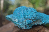 Natural Blue Chrysocolla On Silky Malachite Matrix Specimen  x 1 From Kulukuluku, Congo - Toprock Gemstones and Minerals 