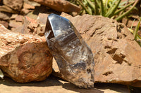 Natural Smokey Quartz Crystal With Polished Termination x 1 From Zomba, Malawi - TopRock