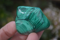 Polished Flower Malachite Free Forms  x 12 From Congo