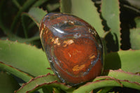 Polished Ocean Jasper Standing Free Forms  x 3 From Marovato, Madagascar