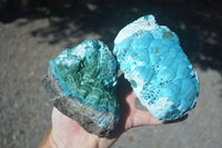 Natural Blue Malacholla (Malachite & Chrysocolla) Specimens  x 2 From Kulukuluku, Congo - Toprock Gemstones and Minerals 