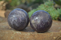 Polished Purple Lepidolite Spheres  x 4 From Madagascar - Toprock Gemstones and Minerals 