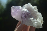 Natural Jacaranda Amethyst Clusters  x 3 From Mumbwa, Zambia - Toprock Gemstones and Minerals 