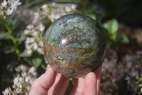 Polished Green Chrysoprase Spheres  x 2 From Madagascar