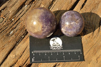 Polished Purple Lepidolite Crystal Spheres  x 8 From Madagascar - TopRock