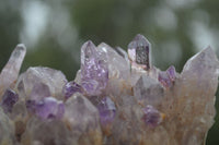 Polished Conglomerate Amethyst Clusters (Man Made) x 6 From Chiredzi, Zimbabwe - TopRock