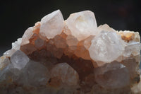 Natural White Cactus Spirit Quartz Clusters  x 12 From Boekenhouthoek, South Africa - Toprock Gemstones and Minerals 