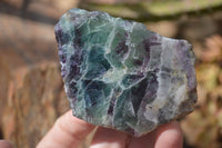 Polished Watermelon Fluorite Slices  x 6 From Uis, Namibia