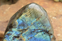 Polished Labradorite Standing Free Form With A Full Face Flash x 1 From Tulear, Madagascar - TopRock