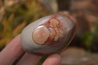 Polished Polychrome Jasper Standing Free Forms  x 6 From Madagascar