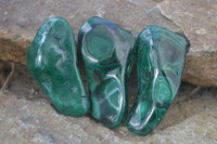 Polished Flower Malachite Free Forms  x 12 From Congo