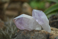 Natural Single Zambian Jacaranda Amethyst Points - Sold per 1.6 kg (24 points per tray) - From Mumbwa, Zambia - TopRock