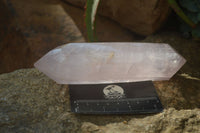 Polished Gemmy Double Terminated Rose Quartz Points x 4 From Madagascar