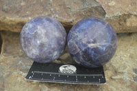 Polished Purple Lepidolite Spheres  x 4 From Madagascar - Toprock Gemstones and Minerals 