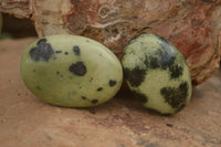 Polished Spotted Leopard Stone Gallets  x 12 From Zimbabwe - TopRock