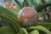 Polished Polychrome Jasper Spheres  x 2 From Mahajanga, Madagascar