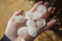 Natural White Spirit Cactus Flower Quartz Crystals x 70 From Boekenhouthoek, South Africa