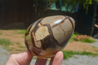 Polished Septaria Dragon's Eggs (Calcite & Aragonite) x 3 From Mahajanga, Madagascar - TopRock