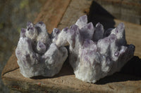 Natural Sugar Amethyst Clusters  x 4 From Solwezi, Zambia - Toprock Gemstones and Minerals 