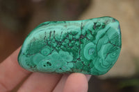 Polished Flower Banded Malachite Free Forms  x 12 From Congo - Toprock Gemstones and Minerals 