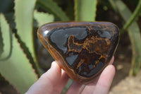 Polished Golden Tigers Eye Free Forms x 4 From Prieska, Northern Cape