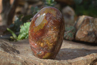 Polished Ocean Jasper Standing Free Forms  x 3 From Marovato, Madagascar