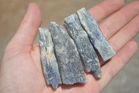 Natural Medium Sized Blue Kyanite with Black Mica Crystals x Sold per 1 Kg -  From Karoi, Zimbabwe - TopRock