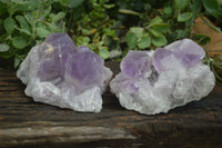 Natural Jacaranda Amethyst Clusters x 2 From Mumbwa, Zambia - TopRock