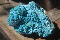 Natural Blue Malacholla (Malachite & Chrysocolla) Specimens  x 2 From Kulukuluku, Congo - Toprock Gemstones and Minerals 