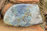 Polished Labradorite Standing Free Form With A Full Face Flash x 1 From Tulear, Madagascar - TopRock