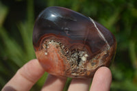 Polished Red River Agate Nodules  x 12 From Sashe River, Zimbabwe - Toprock Gemstones and Minerals 