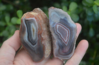 Polished Banded River Agate Nodules  x 6 From Sashe River, Zimbabwe - Toprock Gemstones and Minerals 