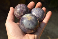 Polished Purple Lepidolite Crystal Spheres  x 8 From Madagascar - TopRock