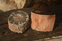 Polished  Petrified Wood Branch Pieces x 2 From Gokwe, Zimbabwe