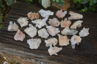 Natural Small Clear Quartz Crystal Specimens  x 35 From Madagascar