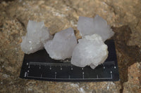 Natural White Spirit Cactus Flower Quartz Crystals x 70 From Boekenhouthoek, South Africa